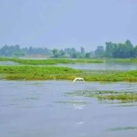 徐州市公安局成功破獲一起非法采砂案,涉案160余萬元