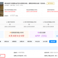 1.5元/噸!亞?wèn)|水泥競(jìng)得湖北武穴950萬(wàn)噸/年砂石大礦